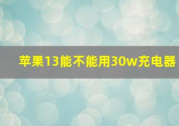 苹果13能不能用30w充电器