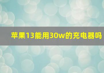 苹果13能用30w的充电器吗