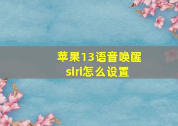 苹果13语音唤醒siri怎么设置