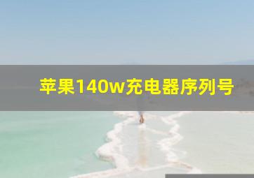 苹果140w充电器序列号