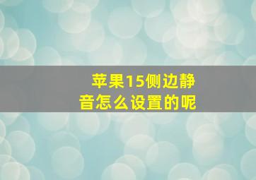 苹果15侧边静音怎么设置的呢