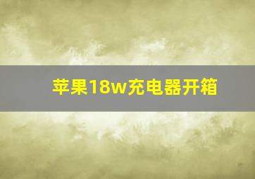 苹果18w充电器开箱