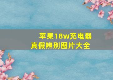 苹果18w充电器真假辨别图片大全