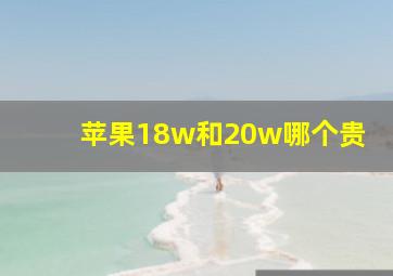 苹果18w和20w哪个贵