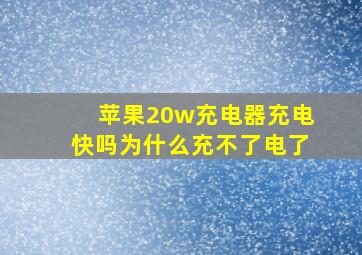 苹果20w充电器充电快吗为什么充不了电了