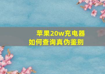 苹果20w充电器如何查询真伪鉴别