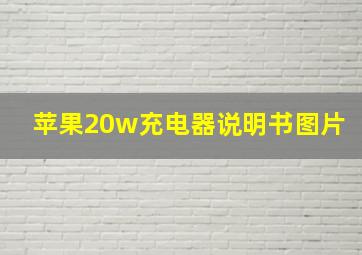 苹果20w充电器说明书图片