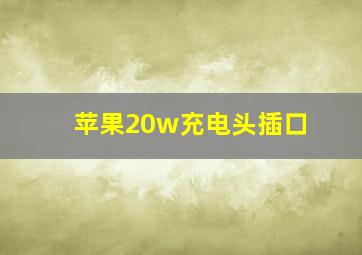 苹果20w充电头插口