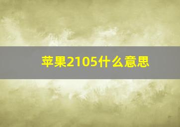 苹果2105什么意思