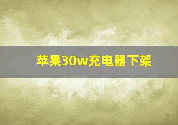 苹果30w充电器下架