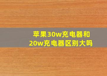 苹果30w充电器和20w充电器区别大吗