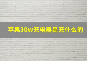 苹果30w充电器是充什么的