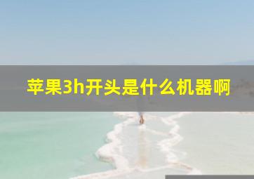 苹果3h开头是什么机器啊