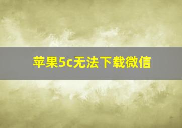 苹果5c无法下载微信