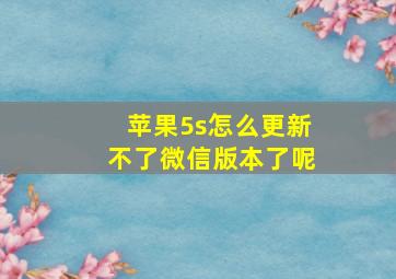 苹果5s怎么更新不了微信版本了呢