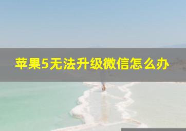 苹果5无法升级微信怎么办