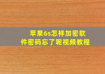 苹果6s怎样加密软件密码忘了呢视频教程