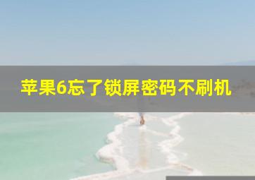 苹果6忘了锁屏密码不刷机