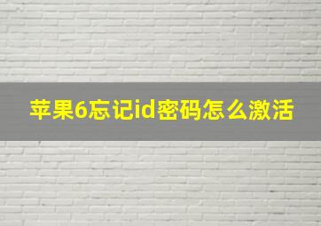 苹果6忘记id密码怎么激活