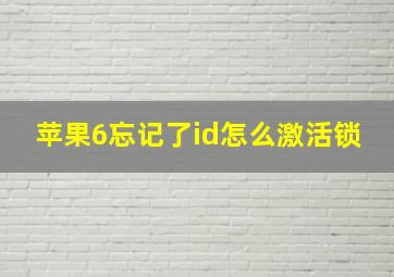 苹果6忘记了id怎么激活锁