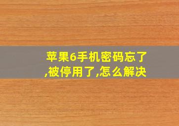 苹果6手机密码忘了,被停用了,怎么解决