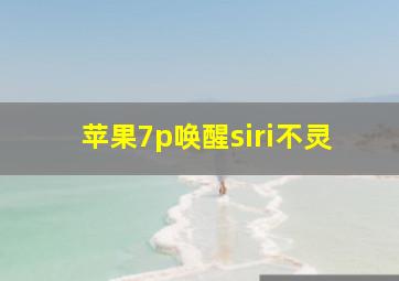 苹果7p唤醒siri不灵