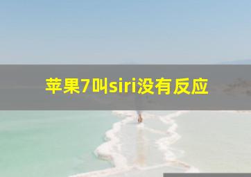 苹果7叫siri没有反应