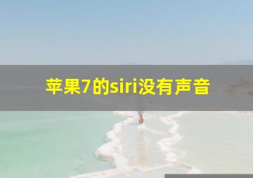 苹果7的siri没有声音