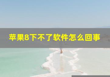 苹果8下不了软件怎么回事