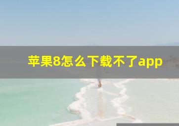 苹果8怎么下载不了app