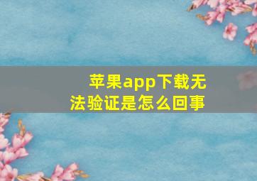 苹果app下载无法验证是怎么回事