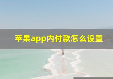 苹果app内付款怎么设置