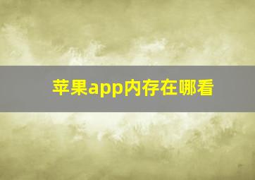 苹果app内存在哪看