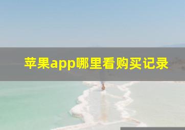 苹果app哪里看购买记录