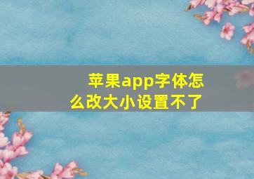 苹果app字体怎么改大小设置不了