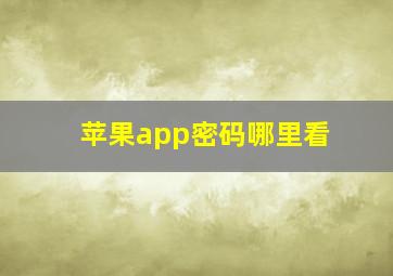 苹果app密码哪里看