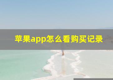 苹果app怎么看购买记录