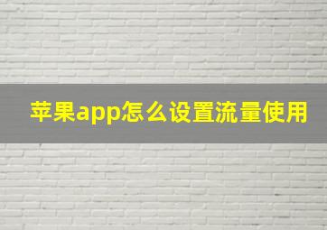 苹果app怎么设置流量使用