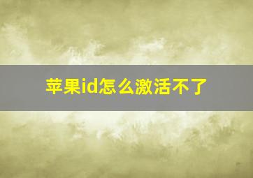 苹果id怎么激活不了