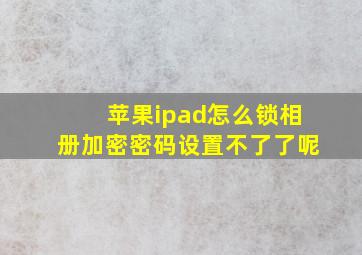 苹果ipad怎么锁相册加密密码设置不了了呢