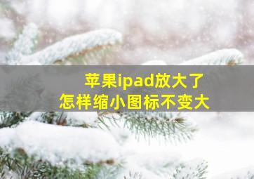 苹果ipad放大了怎样缩小图标不变大