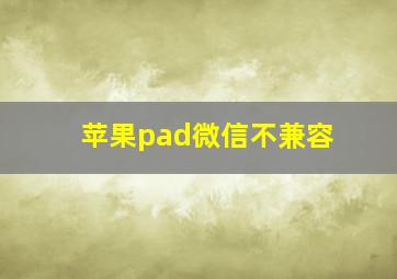 苹果pad微信不兼容