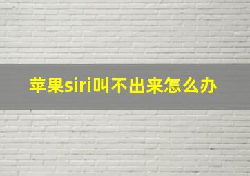 苹果siri叫不出来怎么办