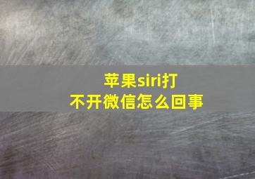 苹果siri打不开微信怎么回事