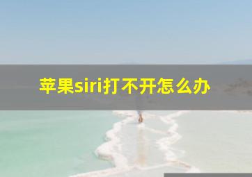 苹果siri打不开怎么办