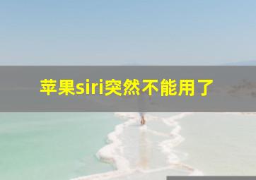 苹果siri突然不能用了