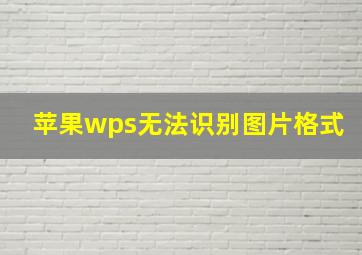 苹果wps无法识别图片格式