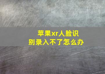 苹果xr人脸识别录入不了怎么办