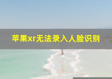 苹果xr无法录入人脸识别