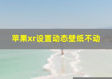 苹果xr设置动态壁纸不动